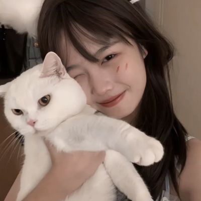 众神荣耀破解版下载