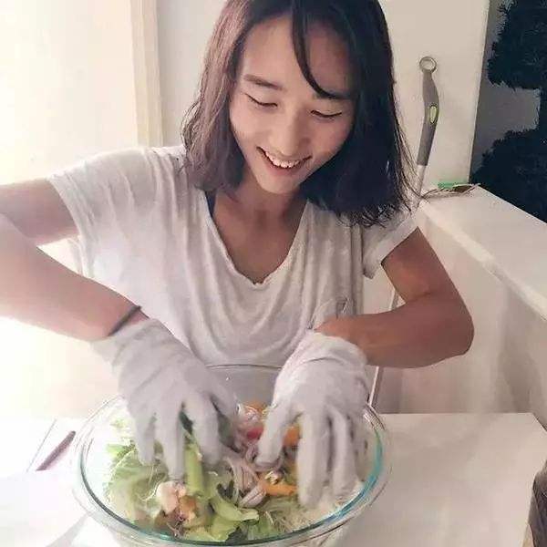 宠物王国外传无限等级版下载