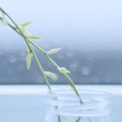 指尖江湖最新版下载